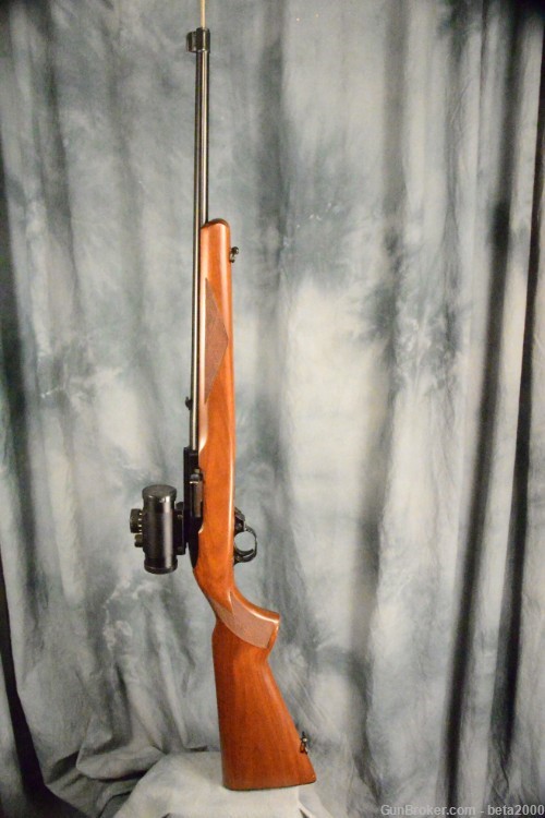 Ruger 10-22 with Tasco Red Dot-img-0