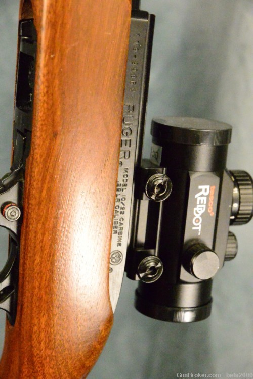 Ruger 10-22 with Tasco Red Dot-img-5