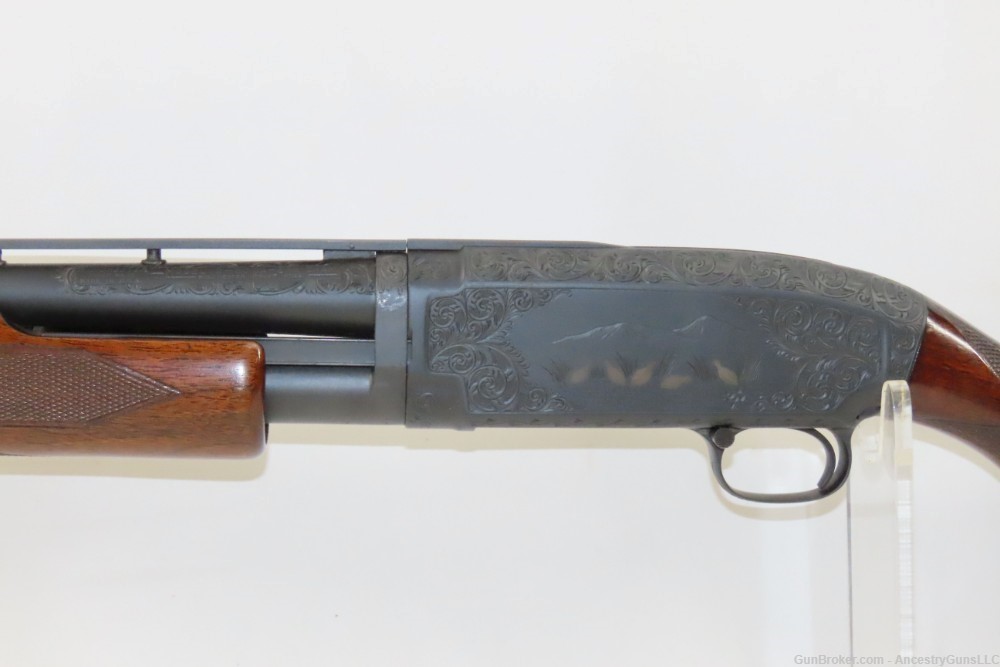c1954 mfr. WINCHESTER Model 12 PUMP ACTION 20 Gauge Hammerless Shotgun C&R -img-3