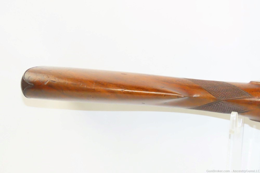 English Engraved ROBINSON & SON Antique 7 Gauge Shotgun Fowler PERCUSSION -img-10