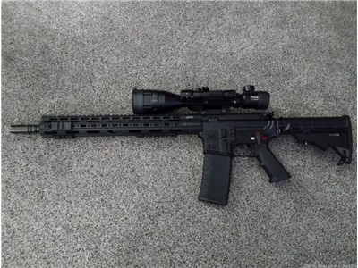 Spikes tactical .556 .223 special custom 20" AR with scope