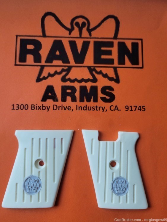 Raven / Phoenix Arms MP25, P25 Grooved Grips w/medallions (Lg Safety)-img-1