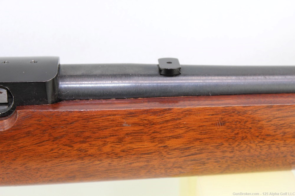 Ruger 10-22 Carbine .22 lr-img-5