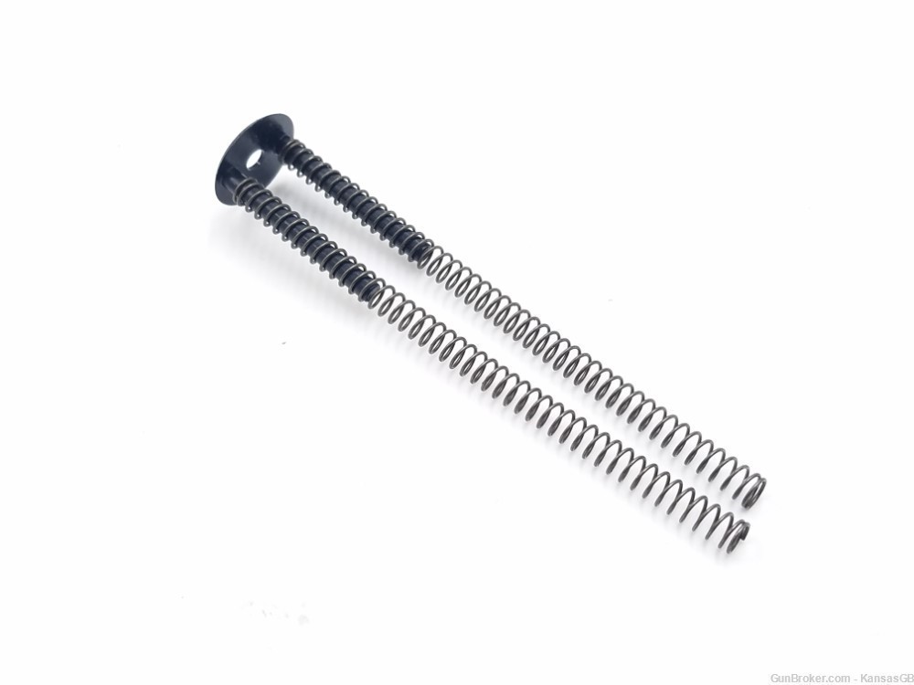 Charter Arms AR-7 Explorer 22lr Rifle Parts: Action Springs & Guide-img-1