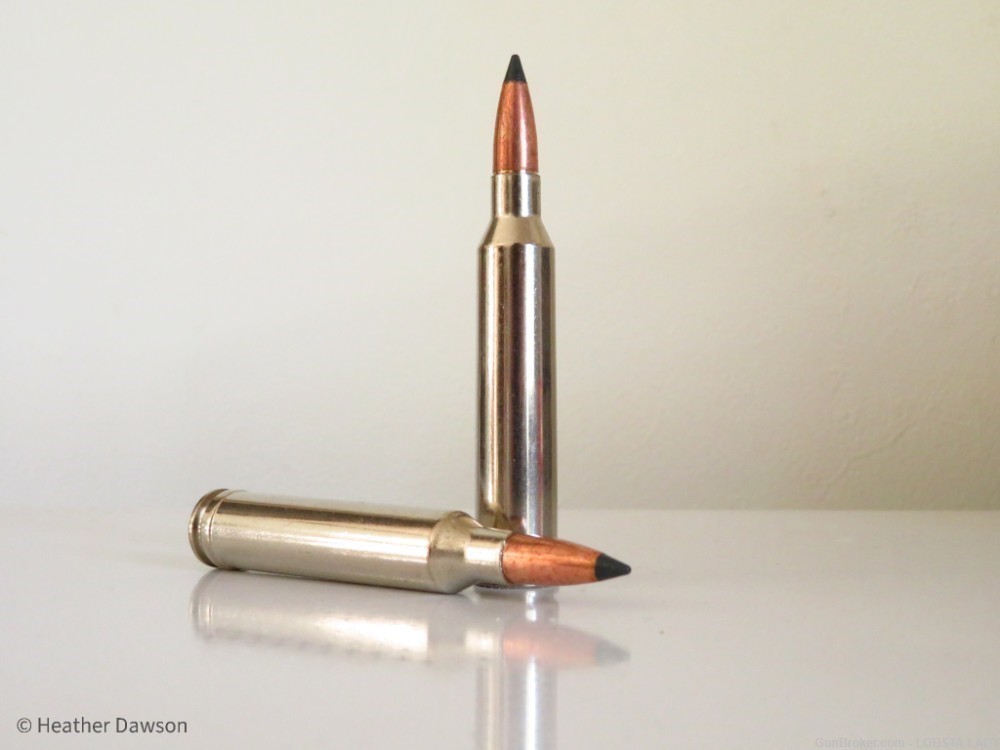 Federal Trophy Copper  7mm Rem Mag 150 grain ammo P7RTC3-img-1