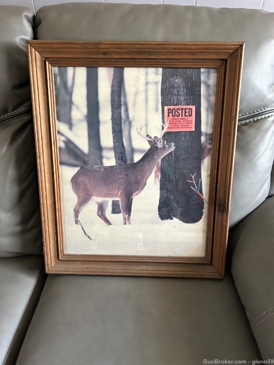 Deer picture -img-0