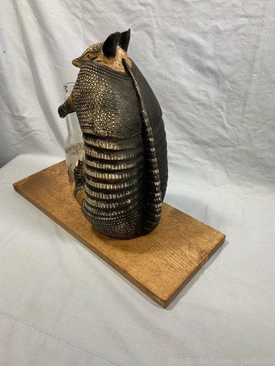 Repoduction Armadillo holding Beer bottle Mount (NEW)-img-4