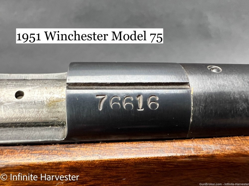 1951 Winchester Model 75 Olympic Upgrade Pre-64 Winchester-75 Winchester 22-img-24