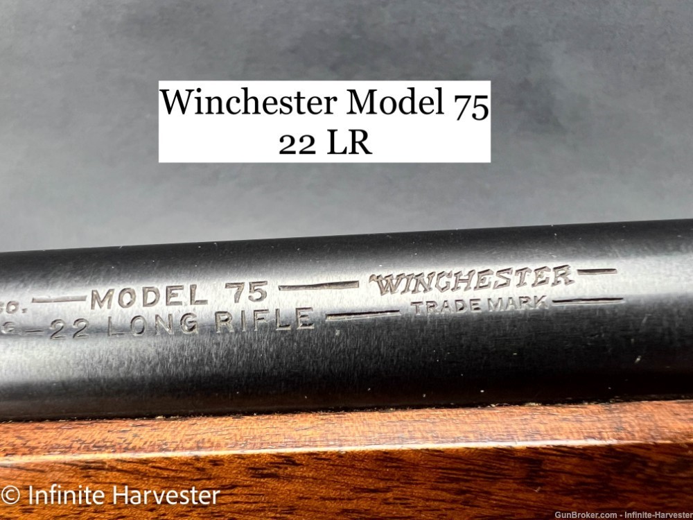 1951 Winchester Model 75 Olympic Upgrade Pre-64 Winchester-75 Winchester 22-img-26
