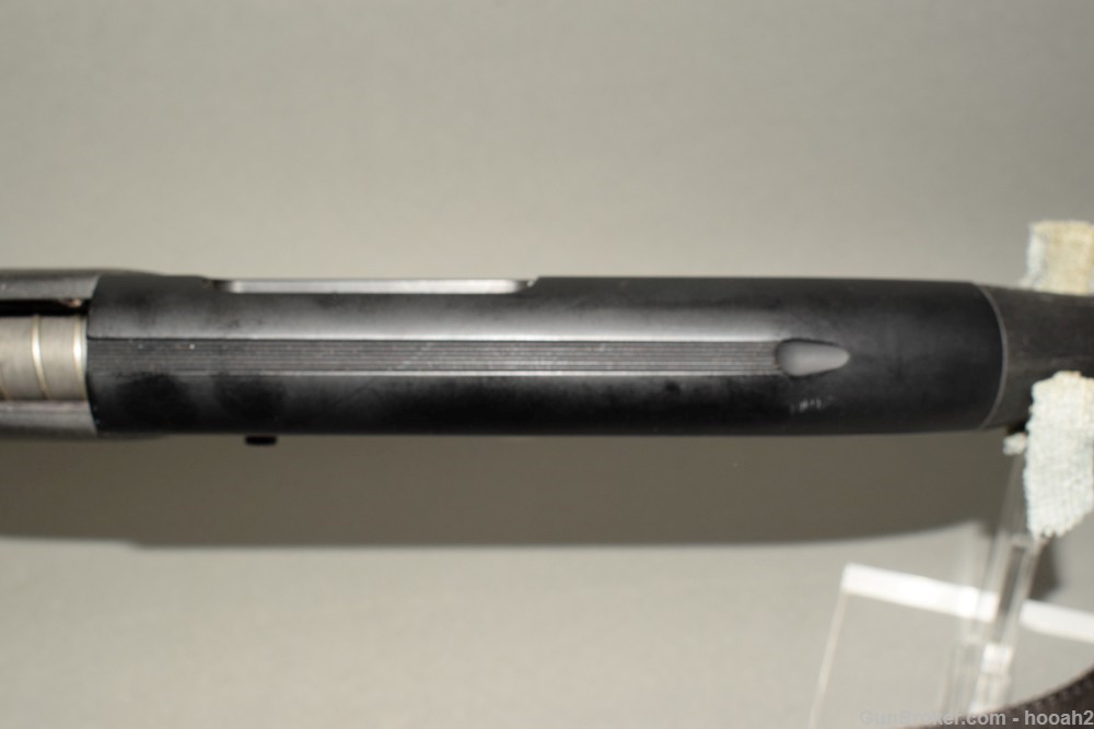 Project Charles Daly Semi Auto Shotgun READ-img-9