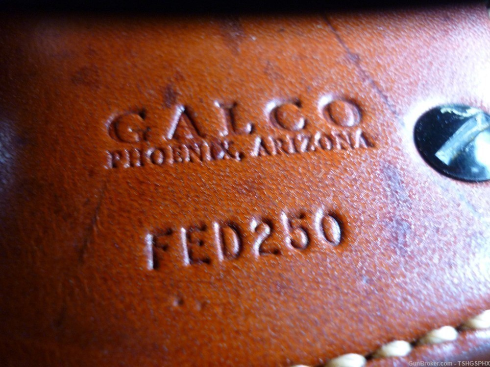 Sig Sauer P229 Galco paddle holster BRN RH-img-3