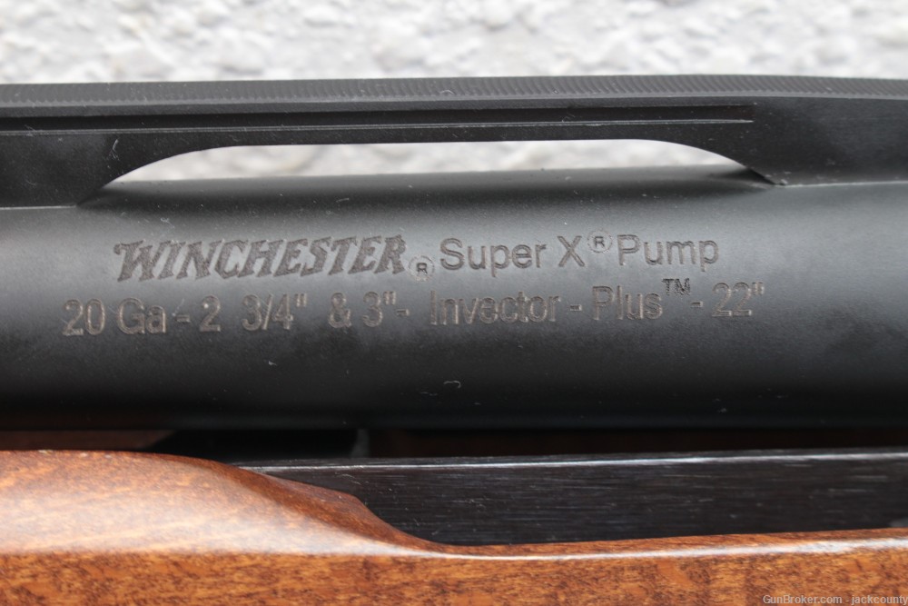 Winchester, SXP Field Grade, 20GA-img-15