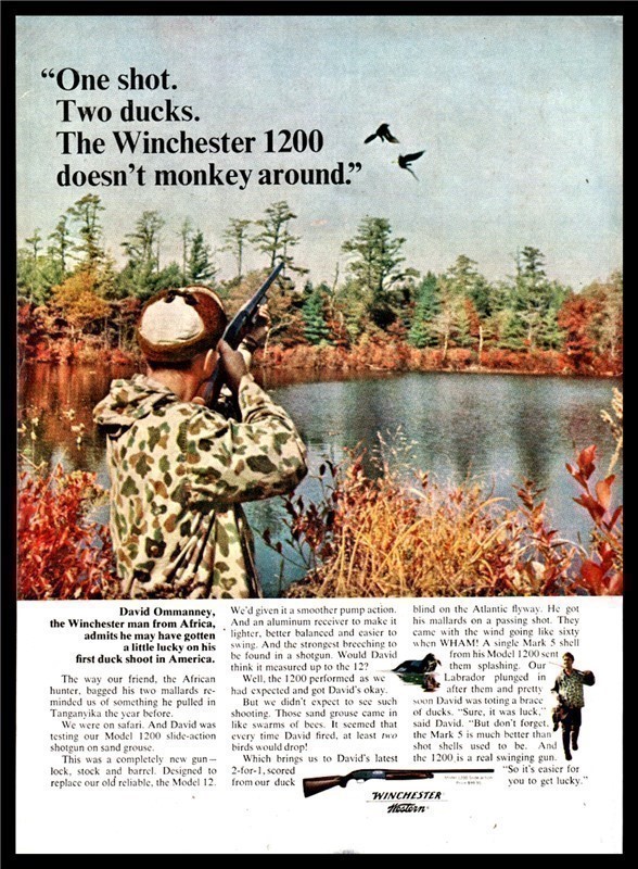 1966 WINCHESTER 1200 Shotgun PRINT AD Duck Hunting-img-0