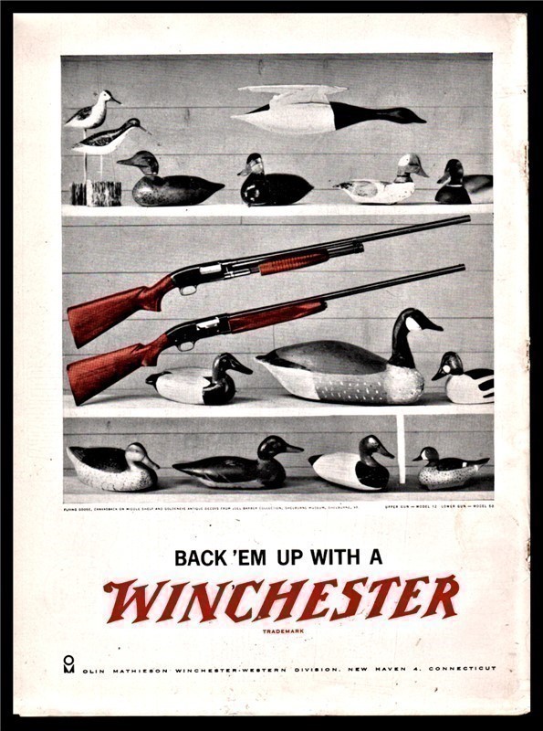 ,1959 WINCHESTER 12 and  50 Shotgun with Decoys AD-img-0