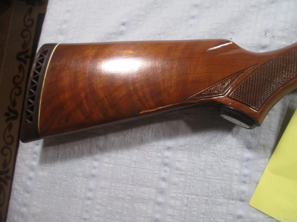 Ted Williams Sears M-300 12GA by Winchester ??-img-3