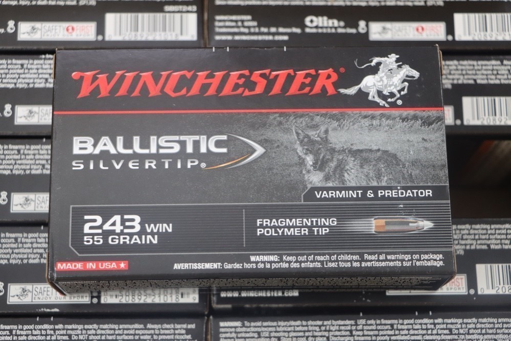 Winchester SILVERTIP Rifle Ammunition 243 Win 200RD AMMO CASE LOT 55GR -img-0
