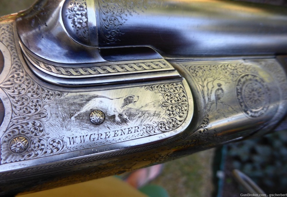 WW Greener Engraved Model G3 12 Gauge Shotgun Pre-WWI - Excellent and Rare-img-23