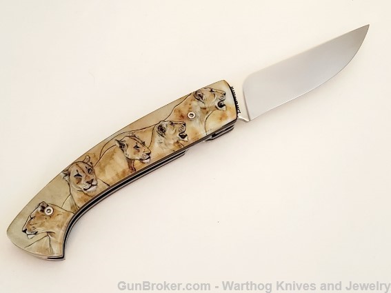 1515 LAPLACE "1515 Alsac-Lion" Folding Knife.  LP16. *REDUCED*-img-2