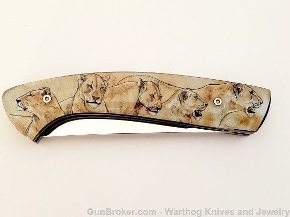 1515 LAPLACE "1515 Alsac-Lion" Folding Knife.  LP16. *REDUCED*-img-4