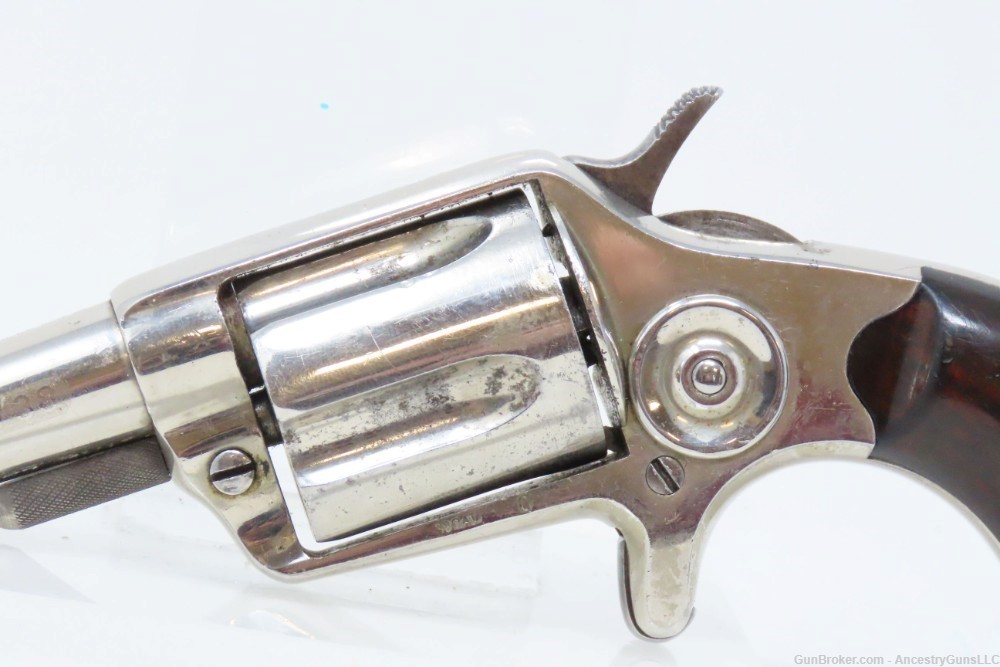 CASED Antique BRITISH Proofed COLT NEW LINE .38 Cal. ETCHED PANEL Revolver -img-7