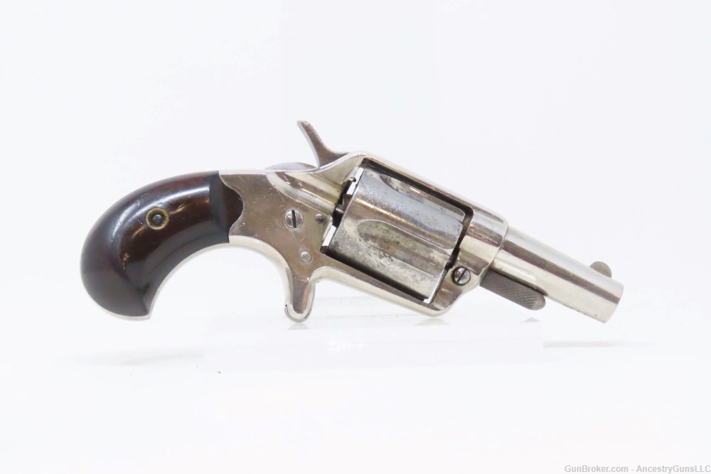 CASED Antique BRITISH Proofed COLT NEW LINE .38 Cal. ETCHED PANEL Revolver -img-17