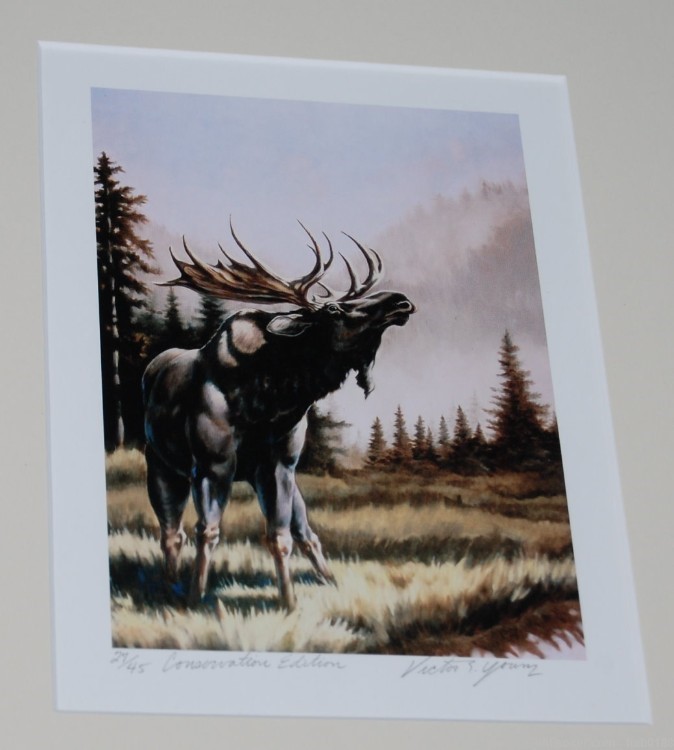 Victor Young Conservation Edition 27/45 Eastern Moose Picture Habitat Stamp-img-1
