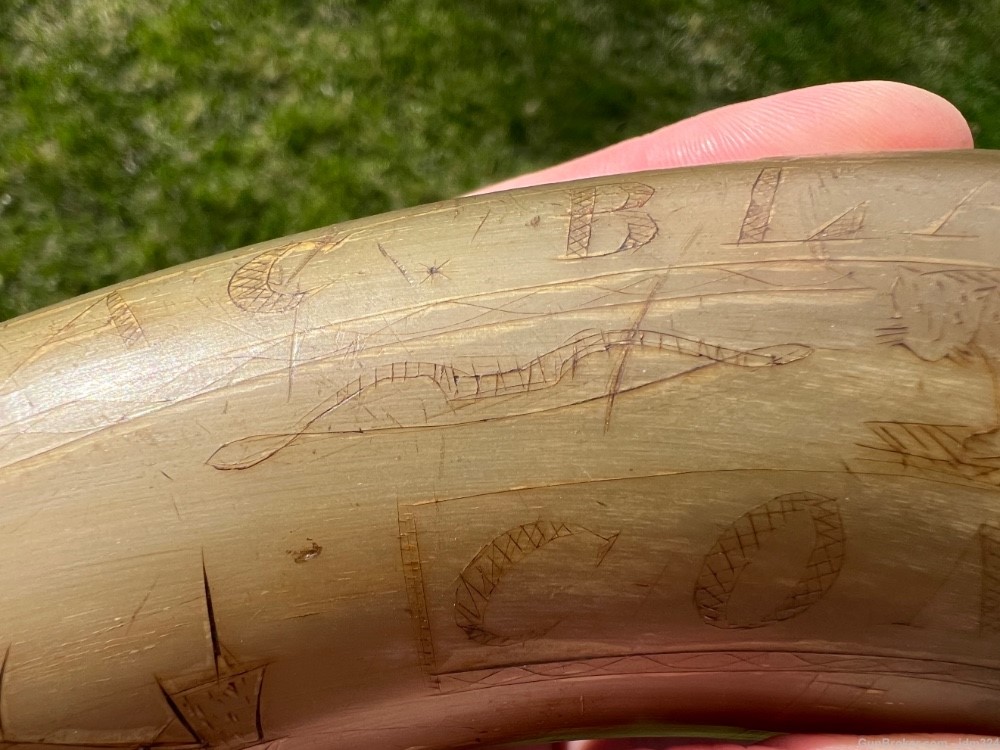 Engraved Early US Federal Powder Horn Identified Named and Dated 1834 War -img-4