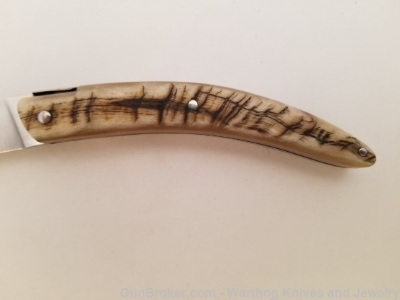 GOYON-CHAZEAU Styl'ver Knife. Deer Horn.12C27 Stainless Steel.GC4.*REDUCED*-img-1