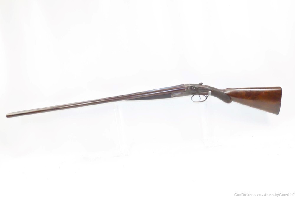ENGRAVED Antique W & C SCOTT & SON 16 Gauge Side x Side HAMMERLESS Shotgun -img-1