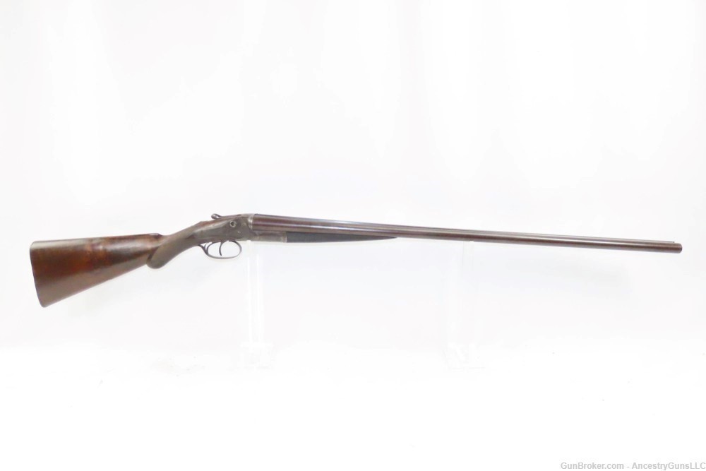 ENGRAVED Antique W & C SCOTT & SON 16 Gauge Side x Side HAMMERLESS Shotgun -img-13