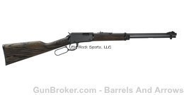 Henry H001GG Garden Gun Smoothbore, Lever Action Rifle, 22 LR Shotshell, -img-0