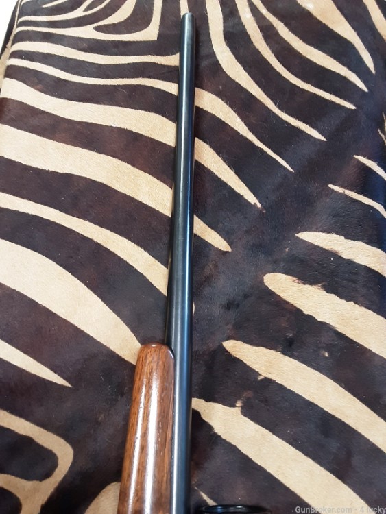 Remington model 30 express chambered in 257 weatherby mag -img-8