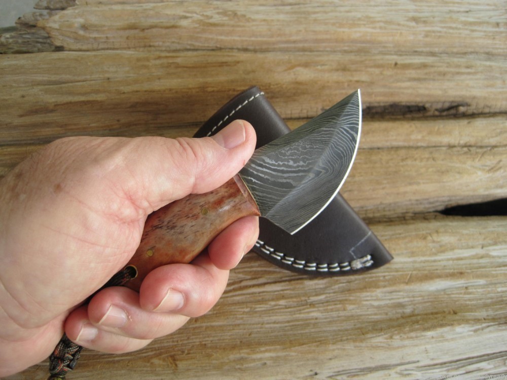 Damascus Handmade Skinning Knife  #250A & 250B-img-2