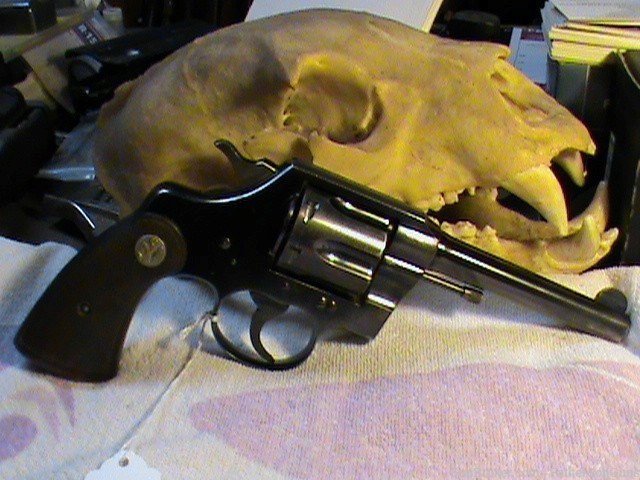 Colt Official Police Cal. 38 5" Barrel Revolver 6 Rd NO RESERVE (1944 WWII)-img-0