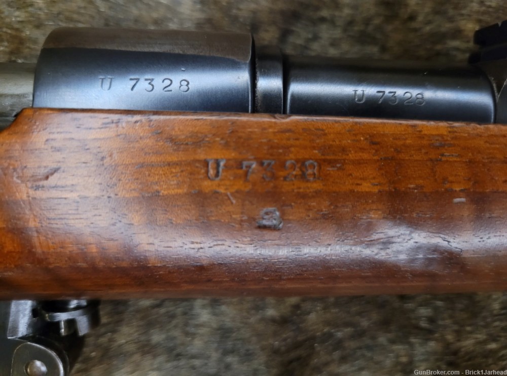 All Matching Argentine Model 1891 Mauser w/Rare tiger stiped stock! -img-4