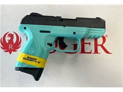 Ruger Security-9  9mm Luger Compact 