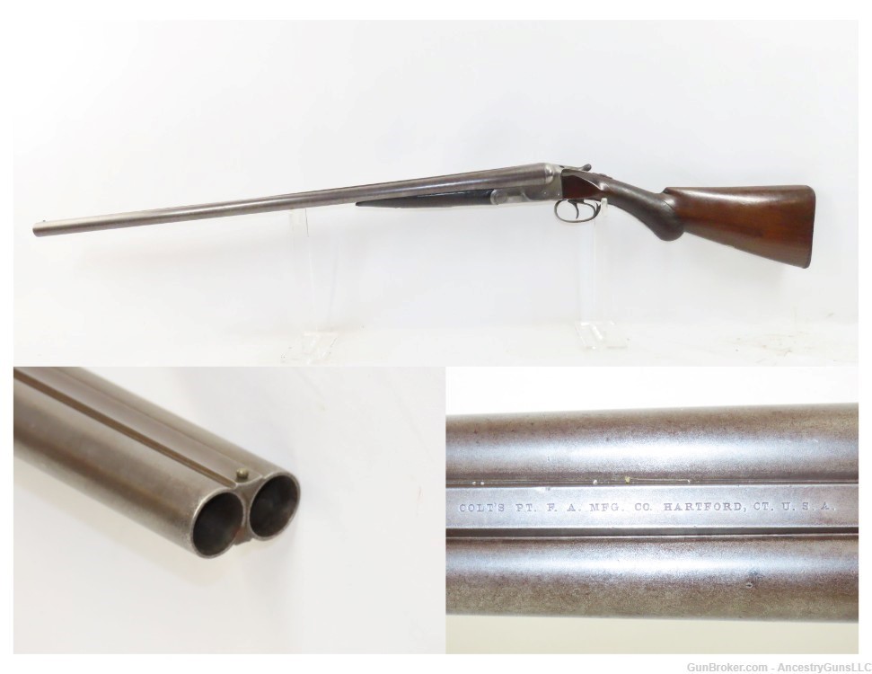 SCARCE Antique COLT M1883 Hammerless 10 Gauge Double Barrel SxS SHOTGUN    -img-0