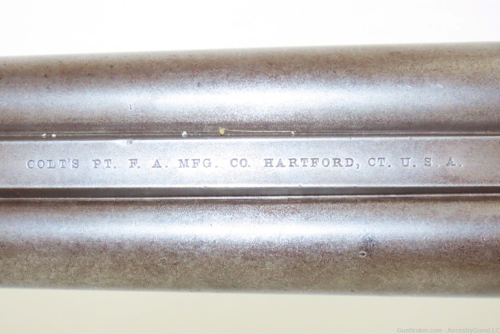 SCARCE Antique COLT M1883 Hammerless 10 Gauge Double Barrel SxS SHOTGUN    -img-10