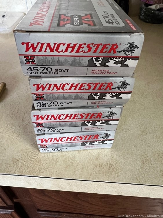 .45-70 Winchester 300 grain JHP-img-0