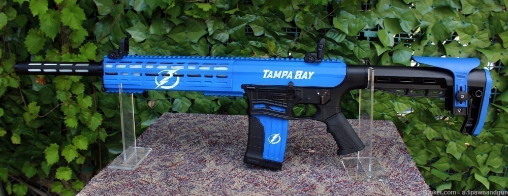 AR Style 12 Gauge Fear 116 "Tampa Bay Lightning" Custom Duracoat  New +Case-img-0