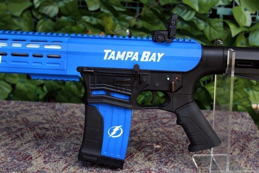 AR Style 12 Gauge Fear 116 "Tampa Bay Lightning" Custom Duracoat  New +Case-img-3