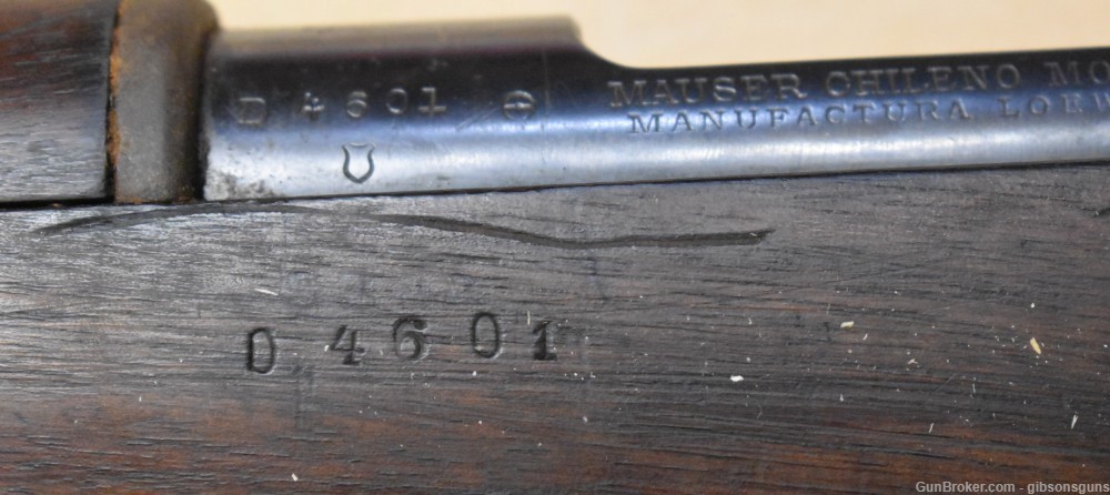 Antique Chilean 1895 Mauser rifle. 7x57-img-11