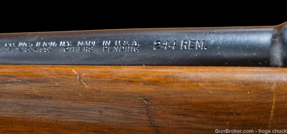 Remington 722 244 Rem *Scarce* 26"-img-26
