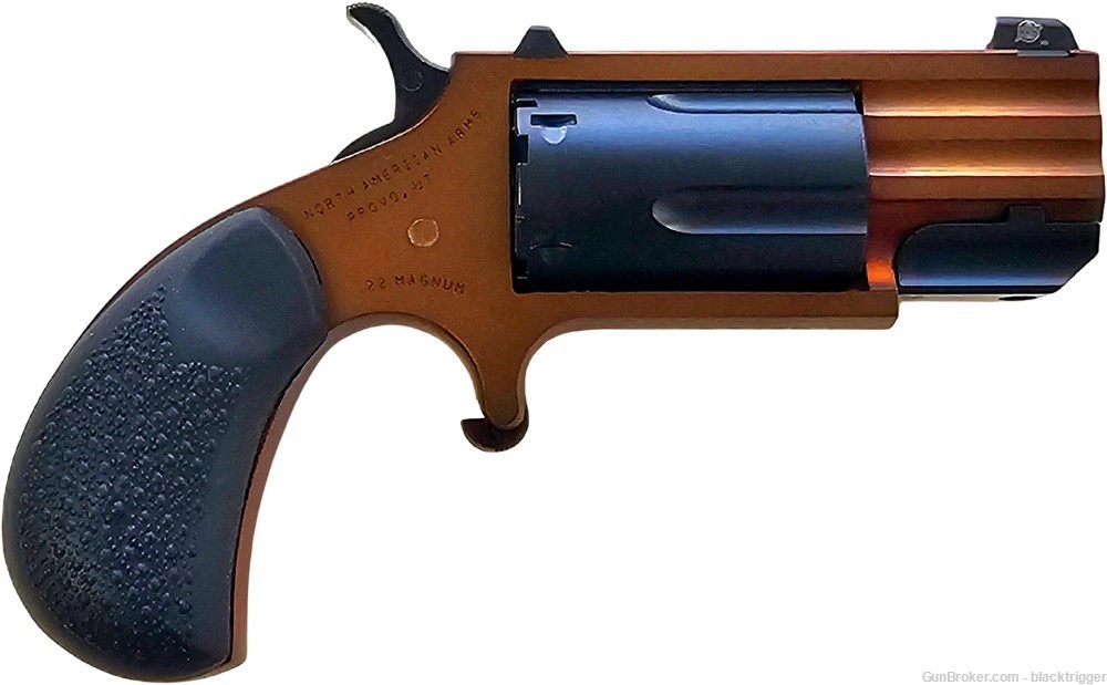 NAA Pug Dusk TALO Edition SA Revolver 22 WMR 1" 5rd Dusk Frame Black Grips -img-1