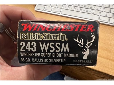 Winchester 243 WSSM