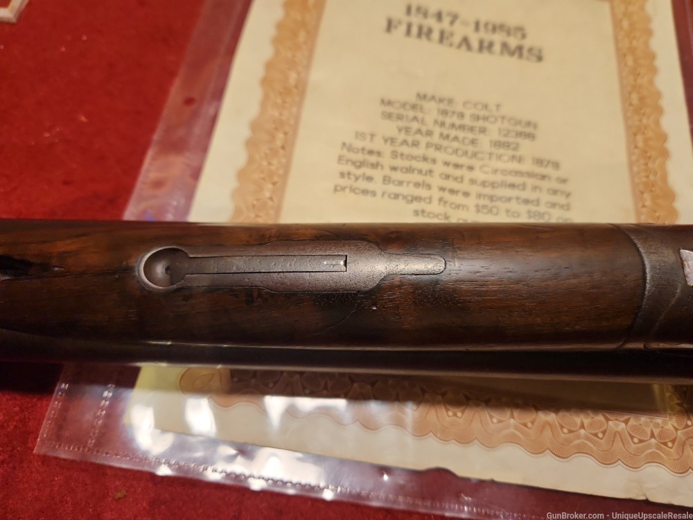 Scarce Colt 1878 double barrel shotgun made in 1882 12 gauge-img-12