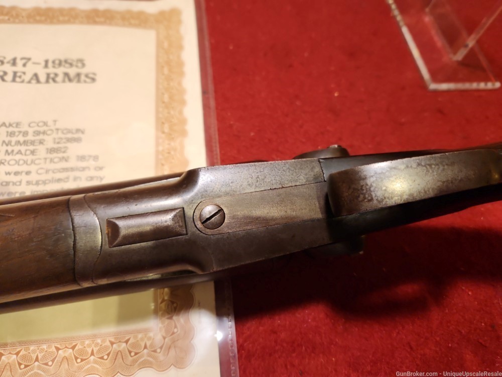 Scarce Colt 1878 double barrel shotgun made in 1882 12 gauge-img-11