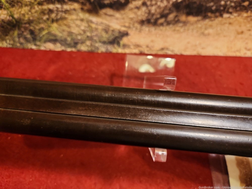 Scarce Colt 1878 double barrel shotgun made in 1882 12 gauge-img-14