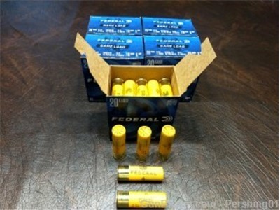 Federal Game Load 20 Gauge 2-3/4in #6 7/8oz, 5 Boxes = 125 Rds