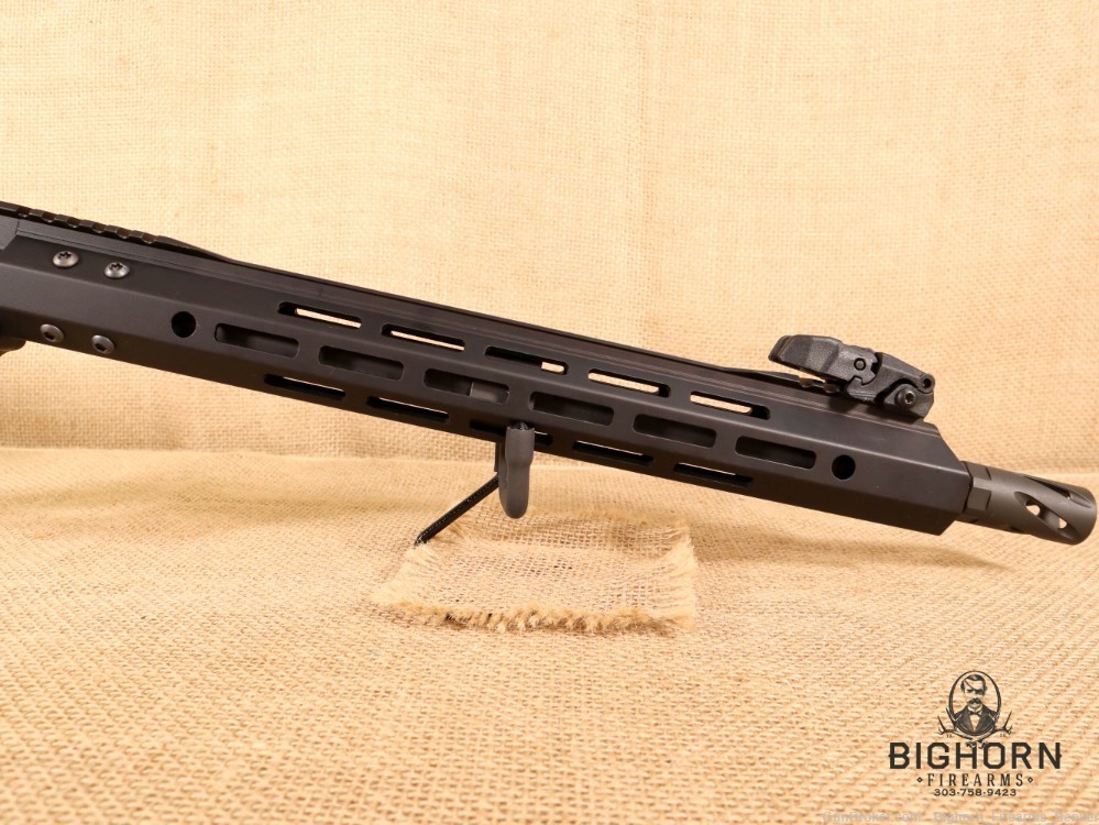 Palmetto State Armory/PSA, PA-15, .50 Beowulf, 16" with Magpul Furniture-img-4